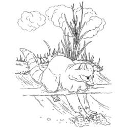 着色页: 狸 (动物) #20042 - 免费可打印着色页