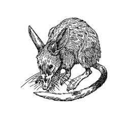 着色页: 鼠 (动物) #15182 - 免费可打印着色页