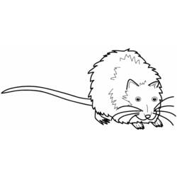 着色页: 鼠 (动物) #15183 - 免费可打印着色页