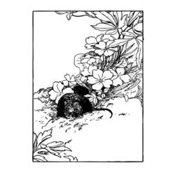 着色页: 鼠 (动物) #15195 - 免费可打印着色页