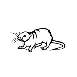 着色页: 鼠 (动物) #15200 - 免费可打印着色页
