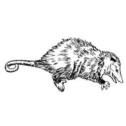 着色页: 鼠 (动物) #15254 - 免费可打印着色页