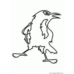 着色页: 乌鸦 (动物) #4291 - 免费可打印着色页