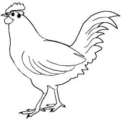 着色页: 公鸡 (动物) #4089 - 免费可打印着色页