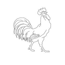 着色页: 公鸡 (动物) #4119 - 免费可打印着色页
