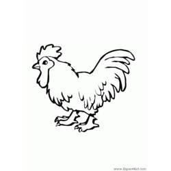 着色页: 公鸡 (动物) #4124 - 免费可打印着色页