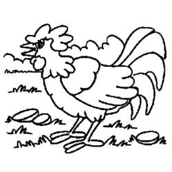 着色页: 公鸡 (动物) #4151 - 免费可打印着色页