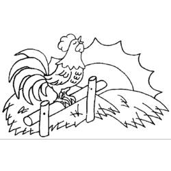 着色页: 公鸡 (动物) #4156 - 免费可打印着色页