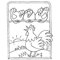 着色页: 公鸡 (动物) #4158 - 免费可打印着色页