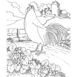 着色页: 公鸡 (动物) #4215 - 免费可打印着色页