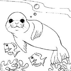 着色页: 海豹 (动物) #16264 - 免费可打印着色页