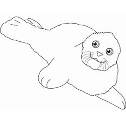 着色页: 海豹 (动物) #16302 - 免费可打印着色页