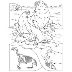 着色页: 海豹 (动物) #16337 - 免费可打印着色页