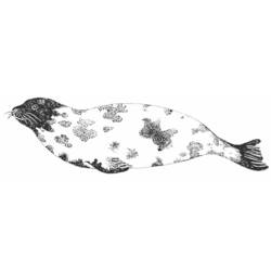 着色页: 海豹 (动物) #16339 - 免费可打印着色页