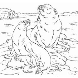着色页: 海豹 (动物) #16383 - 免费可打印着色页