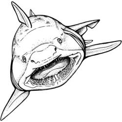 着色页: 鲨鱼 (动物) #14762 - 免费可打印着色页