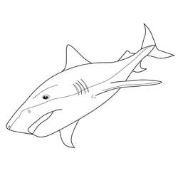 着色页: 鲨鱼 (动物) #14764 - 免费可打印着色页