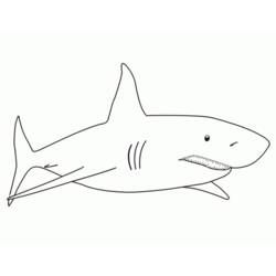 着色页: 鲨鱼 (动物) #14766 - 免费可打印着色页
