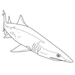 着色页: 鲨鱼 (动物) #14771 - 免费可打印着色页