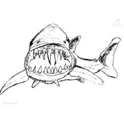 着色页: 鲨鱼 (动物) #14775 - 免费可打印着色页