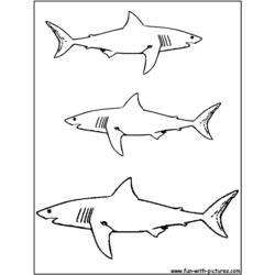 着色页: 鲨鱼 (动物) #14776 - 免费可打印着色页