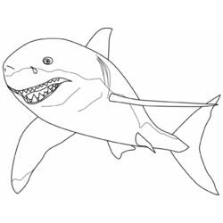 着色页: 鲨鱼 (动物) #14780 - 免费可打印着色页