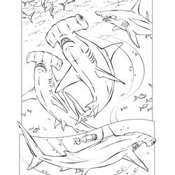着色页: 鲨鱼 (动物) #14784 - 免费可打印着色页