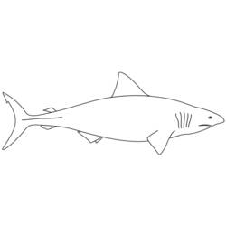 着色页: 鲨鱼 (动物) #14793 - 免费可打印着色页