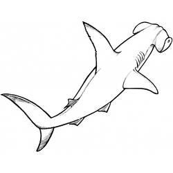 着色页: 鲨鱼 (动物) #14798 - 免费可打印着色页
