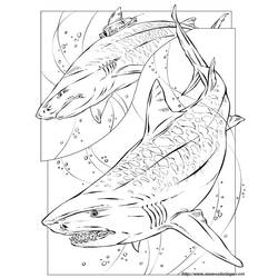 着色页: 鲨鱼 (动物) #14799 - 免费可打印着色页
