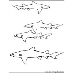 着色页: 鲨鱼 (动物) #14800 - 免费可打印着色页
