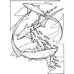 着色页: 鲨鱼 (动物) #14801 - 免费可打印着色页