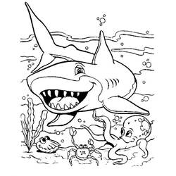 着色页: 鲨鱼 (动物) #14802 - 免费可打印着色页