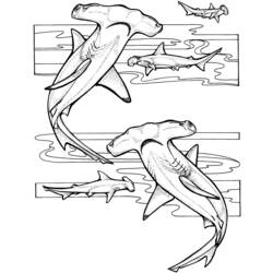 着色页: 鲨鱼 (动物) #14805 - 免费可打印着色页