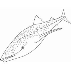 着色页: 鲨鱼 (动物) #14808 - 免费可打印着色页