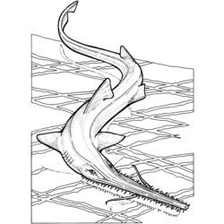 着色页: 鲨鱼 (动物) #14819 - 免费可打印着色页