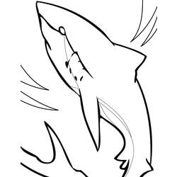 着色页: 鲨鱼 (动物) #14822 - 免费可打印着色页