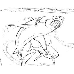 着色页: 鲨鱼 (动物) #14827 - 免费可打印着色页