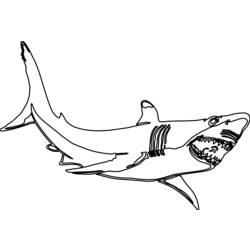 着色页: 鲨鱼 (动物) #14837 - 免费可打印着色页