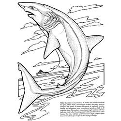 着色页: 鲨鱼 (动物) #14839 - 免费可打印着色页