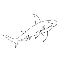 着色页: 鲨鱼 (动物) #14851 - 免费可打印着色页