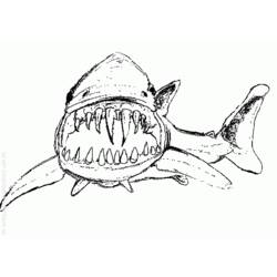 着色页: 鲨鱼 (动物) #14857 - 免费可打印着色页