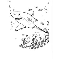 着色页: 鲨鱼 (动物) #14858 - 免费可打印着色页