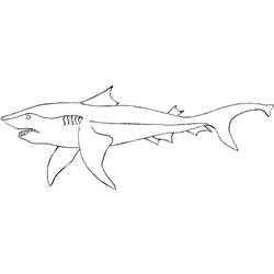 着色页: 鲨鱼 (动物) #14860 - 免费可打印着色页