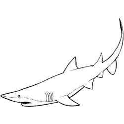 着色页: 鲨鱼 (动物) #14871 - 免费可打印着色页