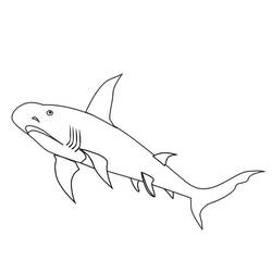 着色页: 鲨鱼 (动物) #14882 - 免费可打印着色页