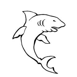 着色页: 鲨鱼 (动物) #14890 - 免费可打印着色页