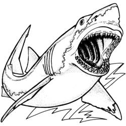 着色页: 鲨鱼 (动物) #14896 - 免费可打印着色页