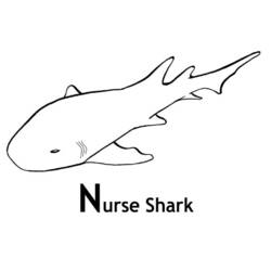 着色页: 鲨鱼 (动物) #14914 - 免费可打印着色页