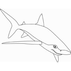 着色页: 鲨鱼 (动物) #14917 - 免费可打印着色页